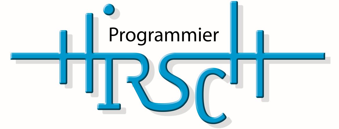 Software Development Company Hirsch